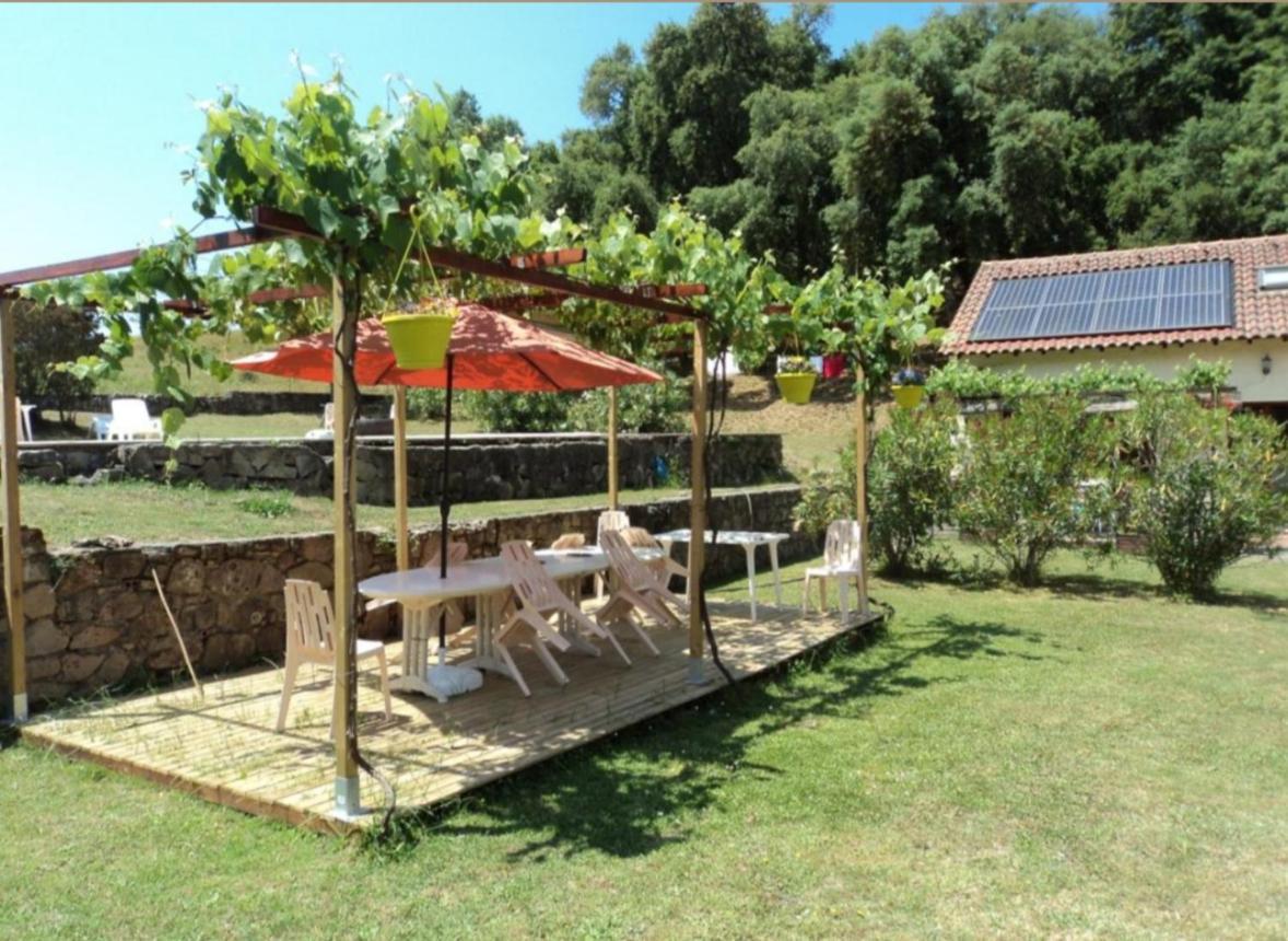 Gites Carbuccia En Corse Avec Piscine Chauffee Exterior photo